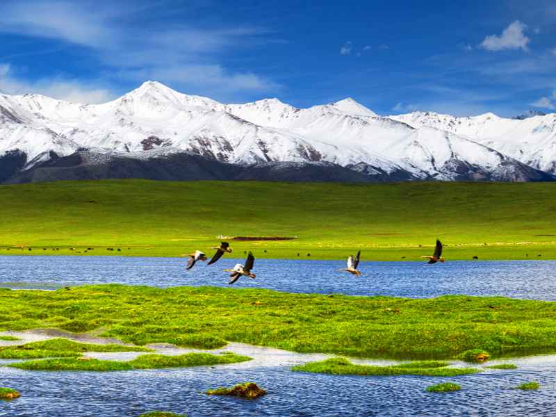 2025年《气候变化动态》月刊（第12期）