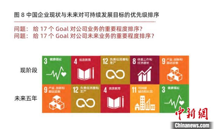 联合国开发计划署报告图。联合国开发计划署