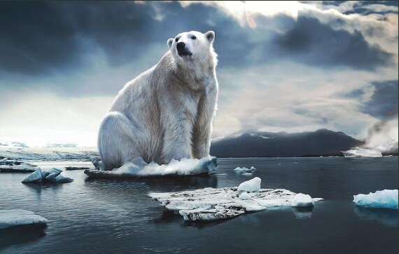 气候越暖，南极冰间湖越“吸碳”？